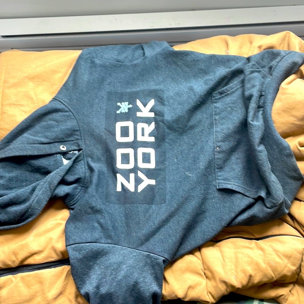 Zoo York hoodie